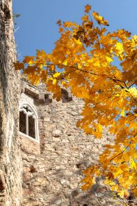Herbstlaub und Burgmauer - Auerbacher Schloss