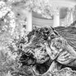 Schwarz Weiß Foto der Skulptur Wildschwein und Jagdhund im Park. Darstellung einer Jagdszene, der Hund packt das Wildschwein am Hals.