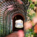 Das "Ende der Welt" heißt diese Szene. Ein Tunnel an dessen Ende ein Bild einer Landschaft zu sehen ist. Hier ist der Tunnel und die Landschaft scharf abgebildet und das Herbstlaub in Vordergrund ist unscharf. (Teil zwei zweier zusammengehörender Bilder)