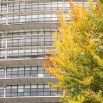 Im Hintergrund die Fassade des Europaparlament in Straßburg und im Vordergrund ein Baum mit Herbstfärbung