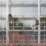 Zwei Menschen hängen an Seilen an der Fassade und putzen Fenster.