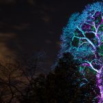 Winterlichter im Palmengarten Frankfurt