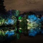 Winterlichter im Palmengarten Frankfurt