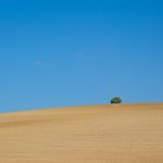 Landschaftsaufnahme in der Champagne