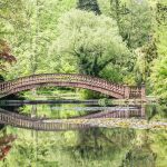 Schlosspark Wolfsgarten