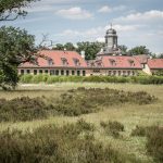 Schlosspark Wolfsgarten