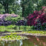 Schlosspark Wolfsgarten