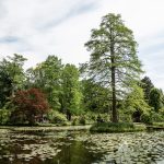 Schlosspark Wolfsgarten