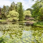 Schlosspark Wolfsgarten