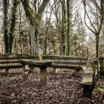 In der Ruine laden Bänke zum verweilen ein.