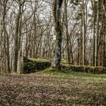 Blick vom inneren der Burg Richtung Ausgang