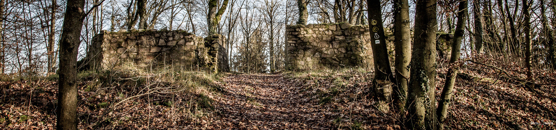 Ruinen der Burg Schnellerts im Odenwald
