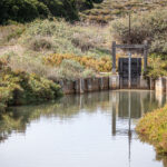 Vieux Salins d`Hyères