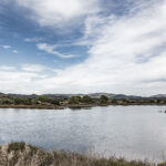 Vieux Salins d'Hyères