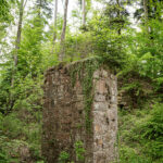 Brückenpfeiler im Wald