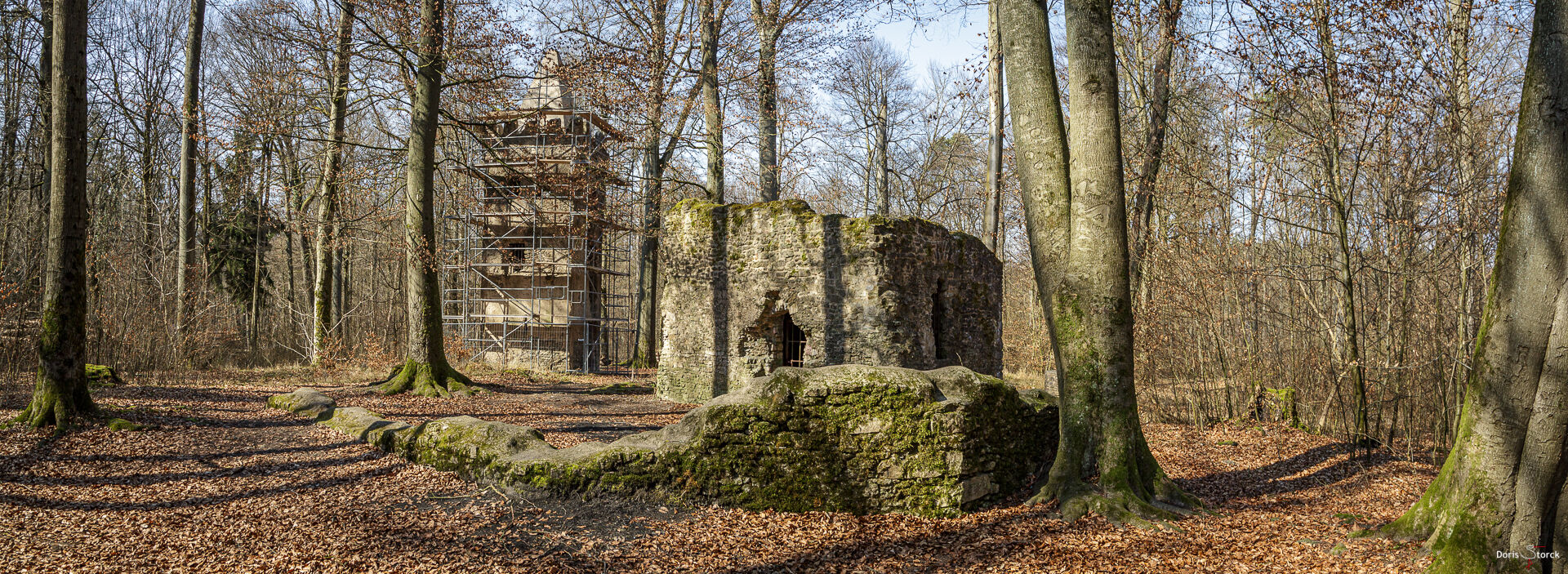 Klosterruine St. Wolfgang bei Hanau, Ein eingerüsteter Turm im Hintergrund, vorne Mauern und die Ehemalige Sakristei.